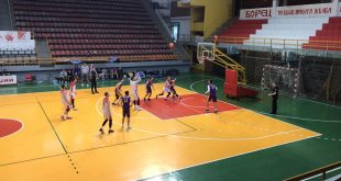 Borec Basket Feniks