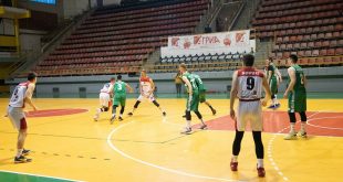 Borec Basket Basket Kam