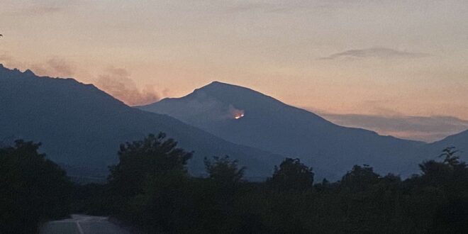 Pozar Drenovo Jabolciste