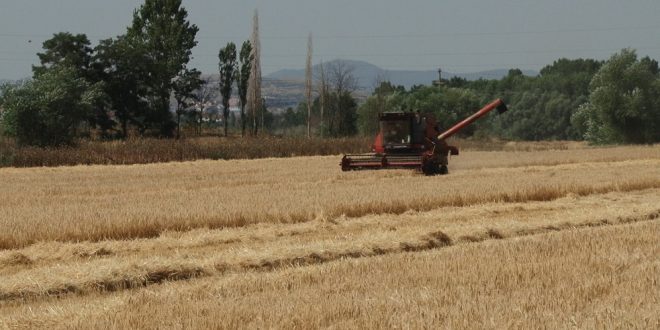 Zneenje jacmen